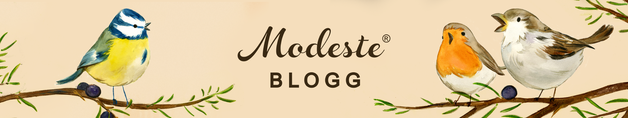 Modesteblogg
